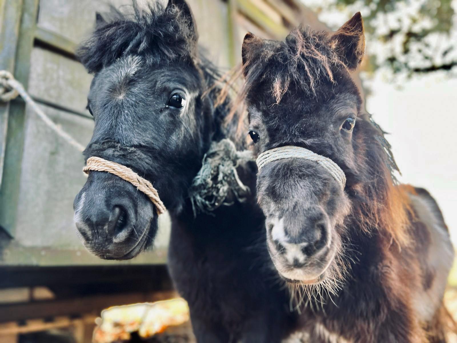 Lelek_i_mama (6).jpeg